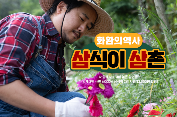 화환의 역사와 삼식이삼촌 – 전통과 현대가 만나는 순간