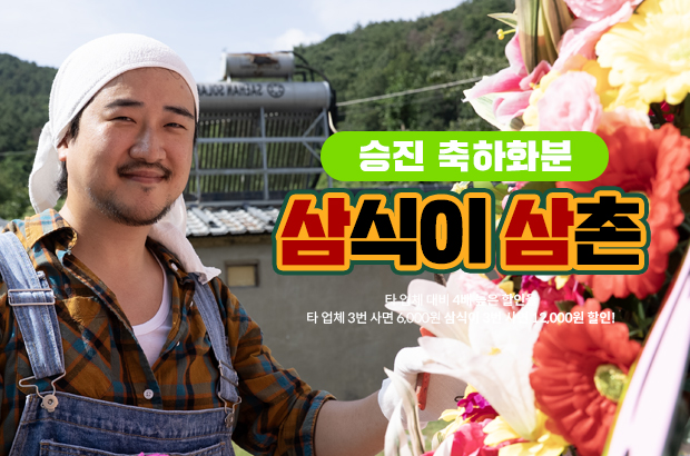 승진 축하 화분 – 대표이사·임원 승진에 어울리는 품격 있는 선물