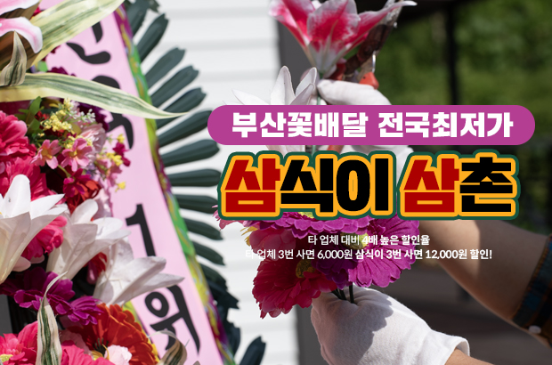 부산 꽃배달 55,000원부터 – 삼식이삼촌 꽃다발, 정시배송 & 전국최저가 혜택