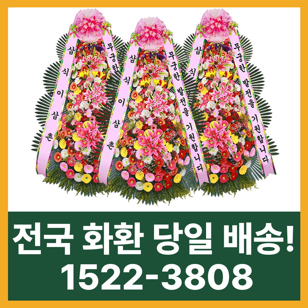 대구화환 – 축하부터 근조까지, 빠르고 정중한 전국 3시간 당일배송