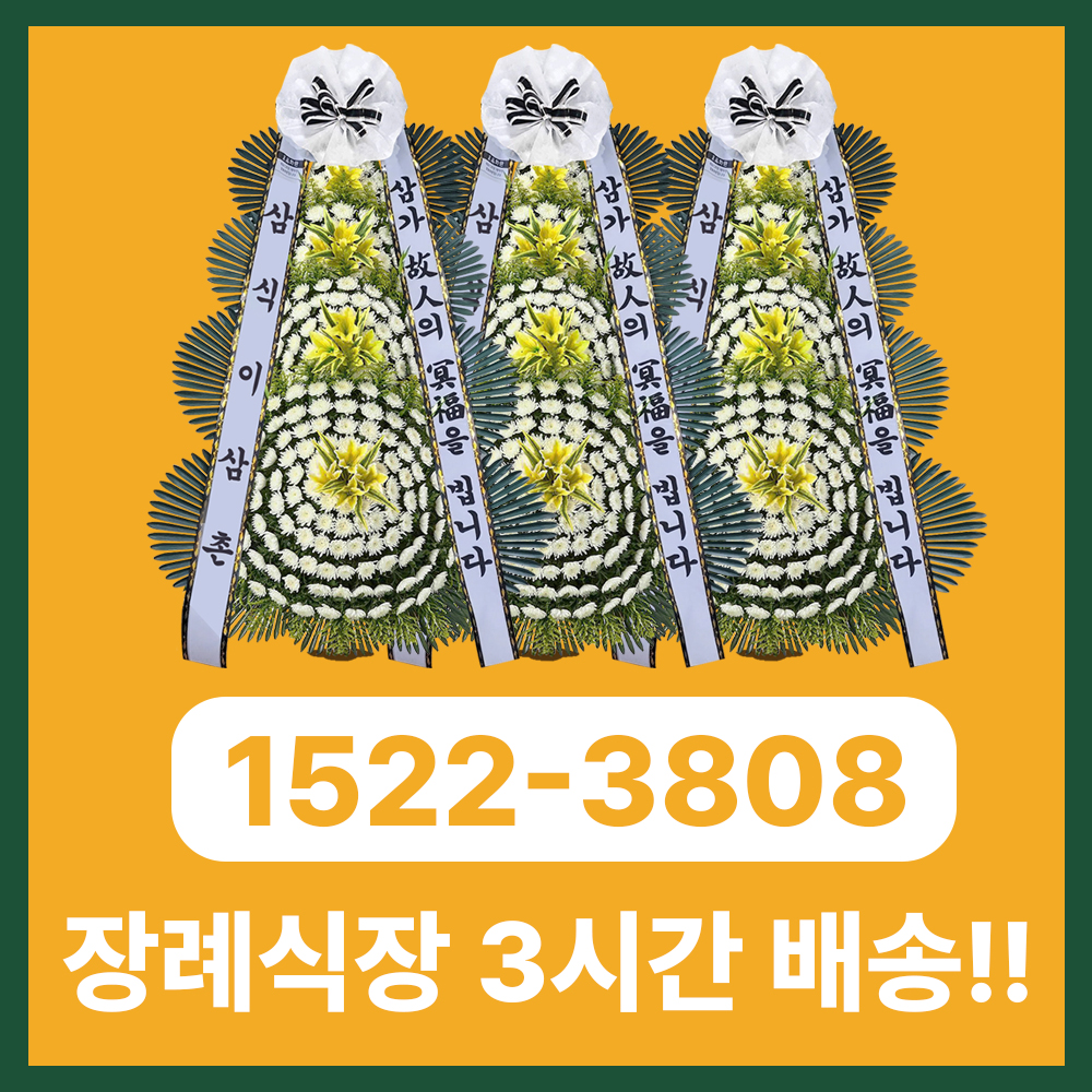 속초화환 삼식이삼촌, 바다·관광 도시에서도 빠르고 정중한 3시간 당일배송