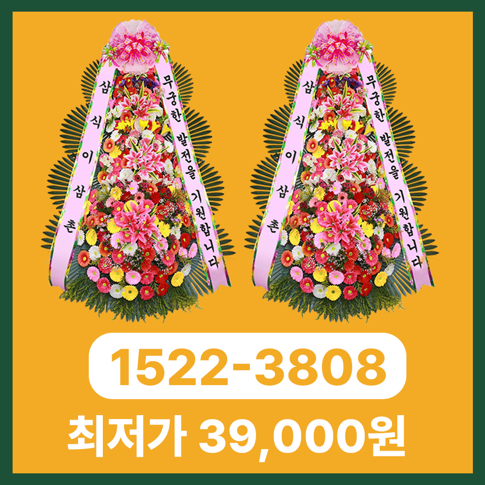 강릉화환 – 동해안 지역까지 빠르고 정중한 전국 3시간 당일배송