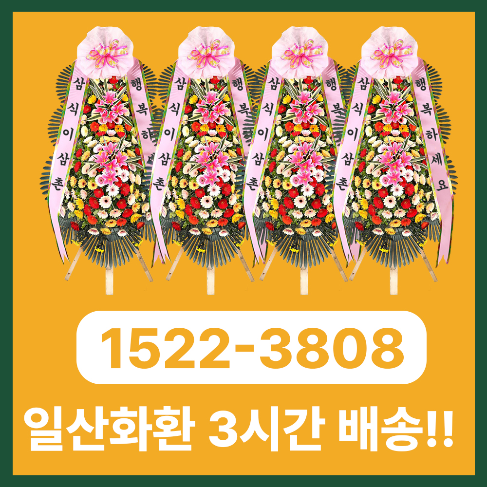 일산화환 삼식이삼촌, 경기 서북부에서도 빠르고 정중한 3시간 당일배송