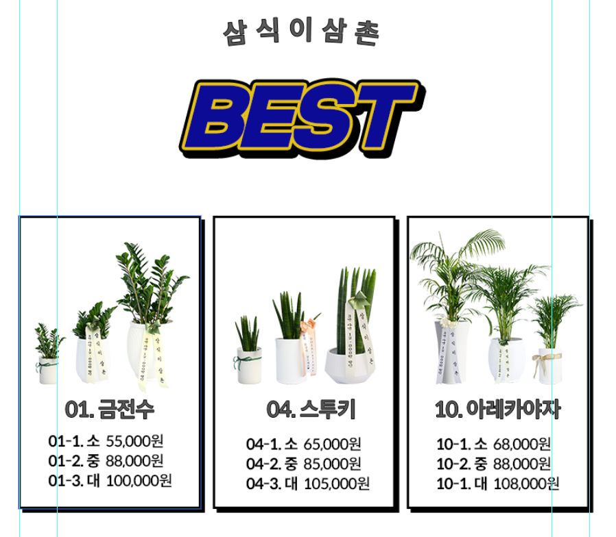 최저가화분