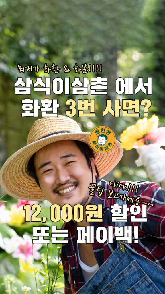 할인과 페이백