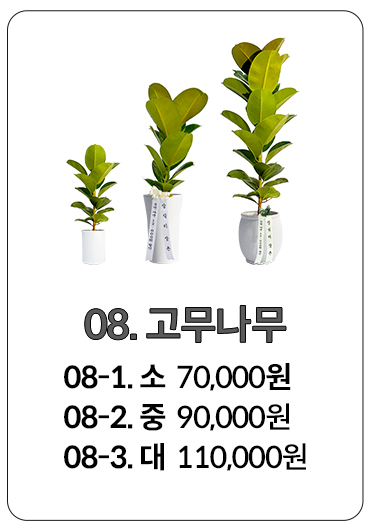 퇴임 화분