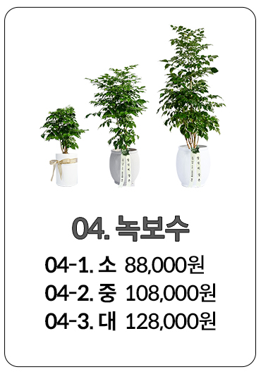 퇴임 화분