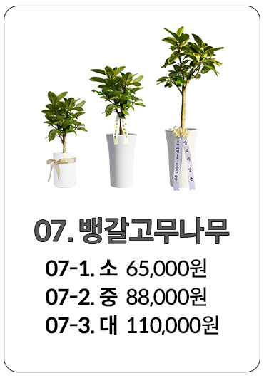 퇴임 화분