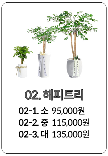 승진 축하 화분