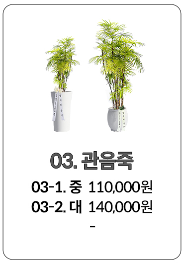 성남 축하화환