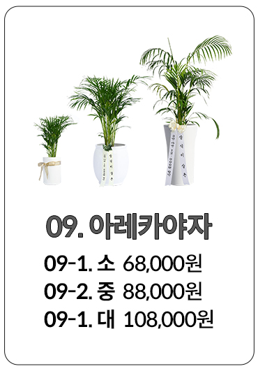 창원 화환 당일배송