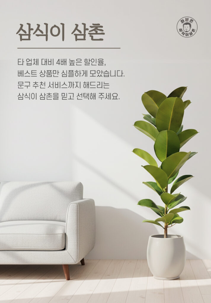 부담 없는 화환 가격